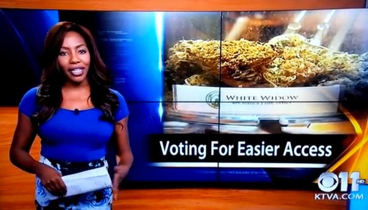 TV Reporter Who Quit Mid-Broadcast To Pursue Weed Legalization Now Faces 50 Years In Prison