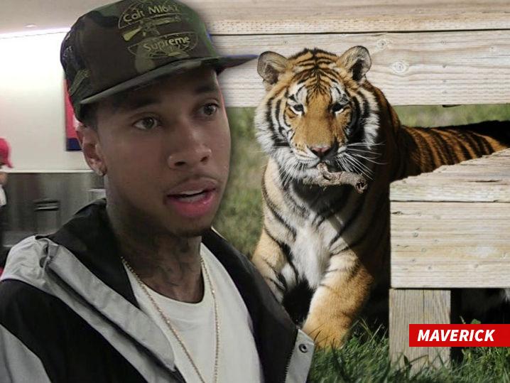 Tyga -- Expensive Pet Tiger Ain't My Problem Now (Video)