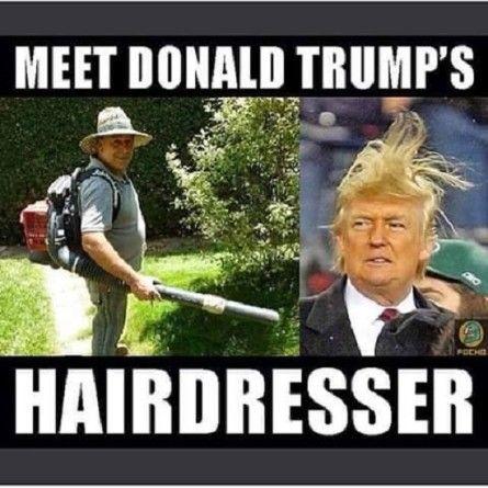 1000+ Ideas About Donald Trump Hair On Pinterest   Trump Hair