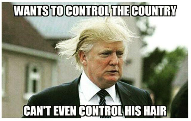 1000+ Images About FUNNY DONALD TRUMP On Pinterest   Donald Trump