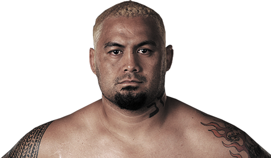 UFC Fight Night 52 Fight Breakdown: Mark Hunt Vs. Roy Nelson   MMA