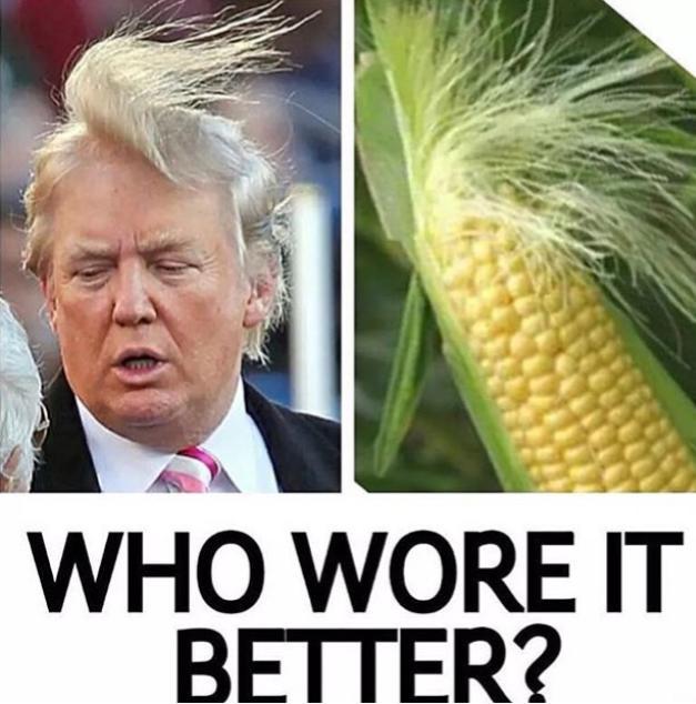 40 Very Funny Donald Trump Pictures That Will Make You Laugh