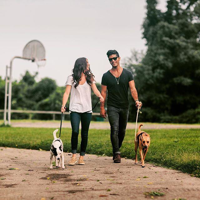 Dan + Dogs: The Adorable Way Dan Smyers Is Giving Back   Whiskey Riff