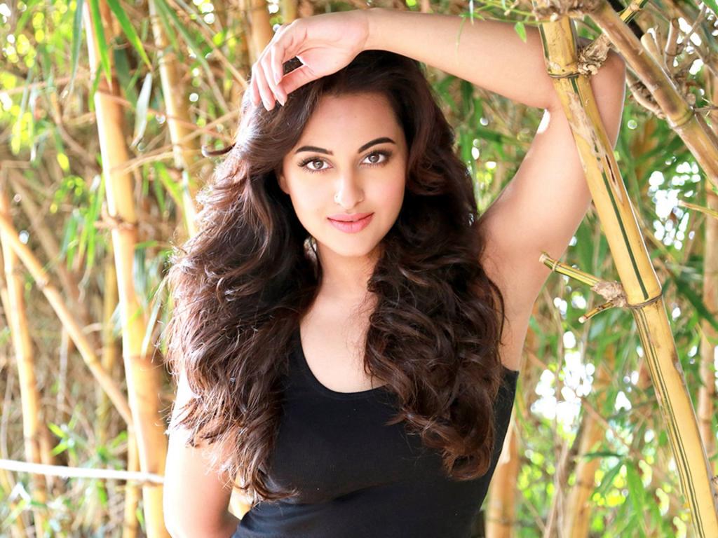 Sonakshi Sinha Beautiful HD Wallpaper