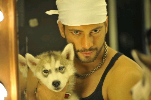 5 Contestants Who Dared To Fight With Salman Khan In Bigg Boss Show