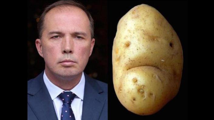 8 Potatoes That Might Make A Better Immigration Minister Than Peter