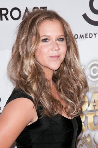 Amy Schumer - Wikipedia