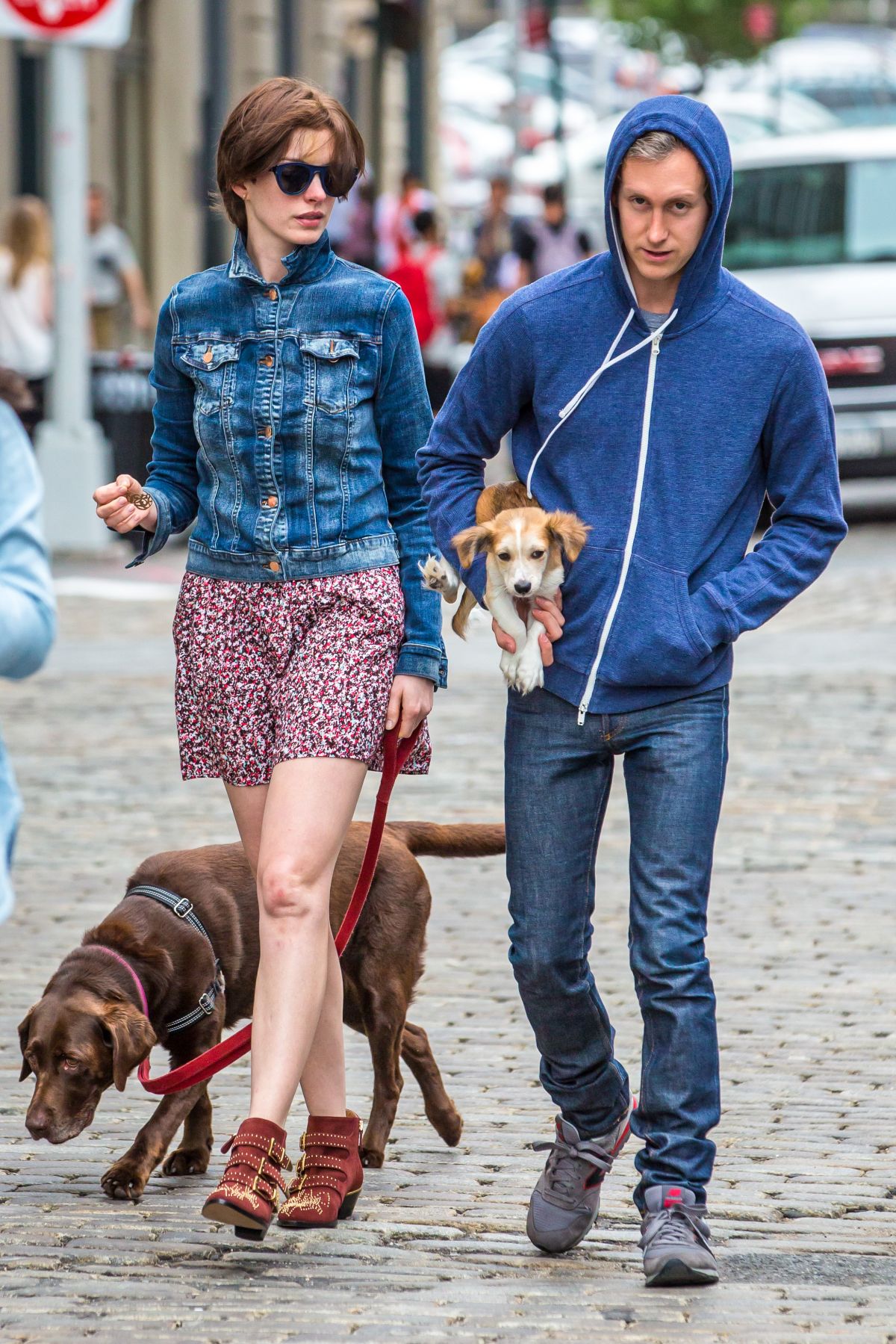 ANNE HATHAWAY And Adam Shulman Walks Her Dogs Out In New York