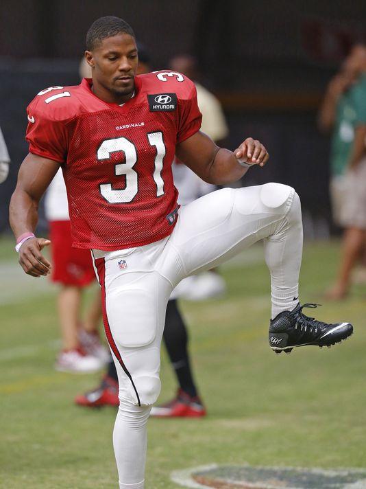 Arizona Cardinals Player Profile: David Johnson