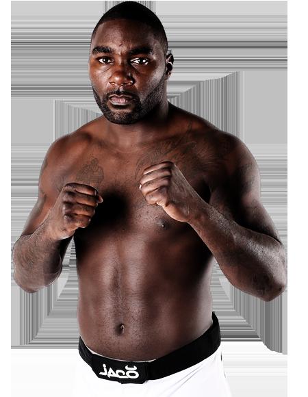 Anthony Johnson - Fighter Page