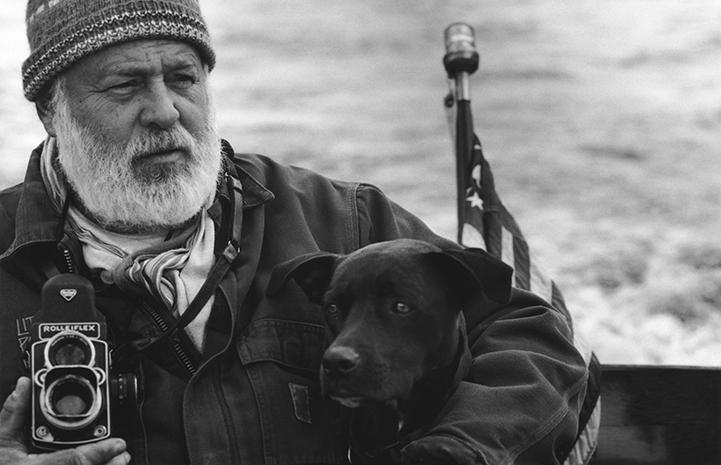 Bruce Weber And Animals   Best Friends Animal Society