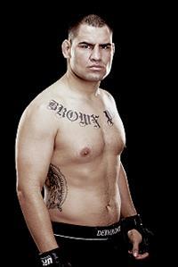 Cain Velasquez Fights Record Profile MMA Fighter