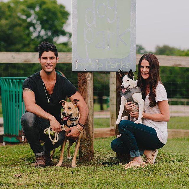 Dan + Dogs: The Adorable Way Dan Smyers Is Giving Back   Whiskey Riff