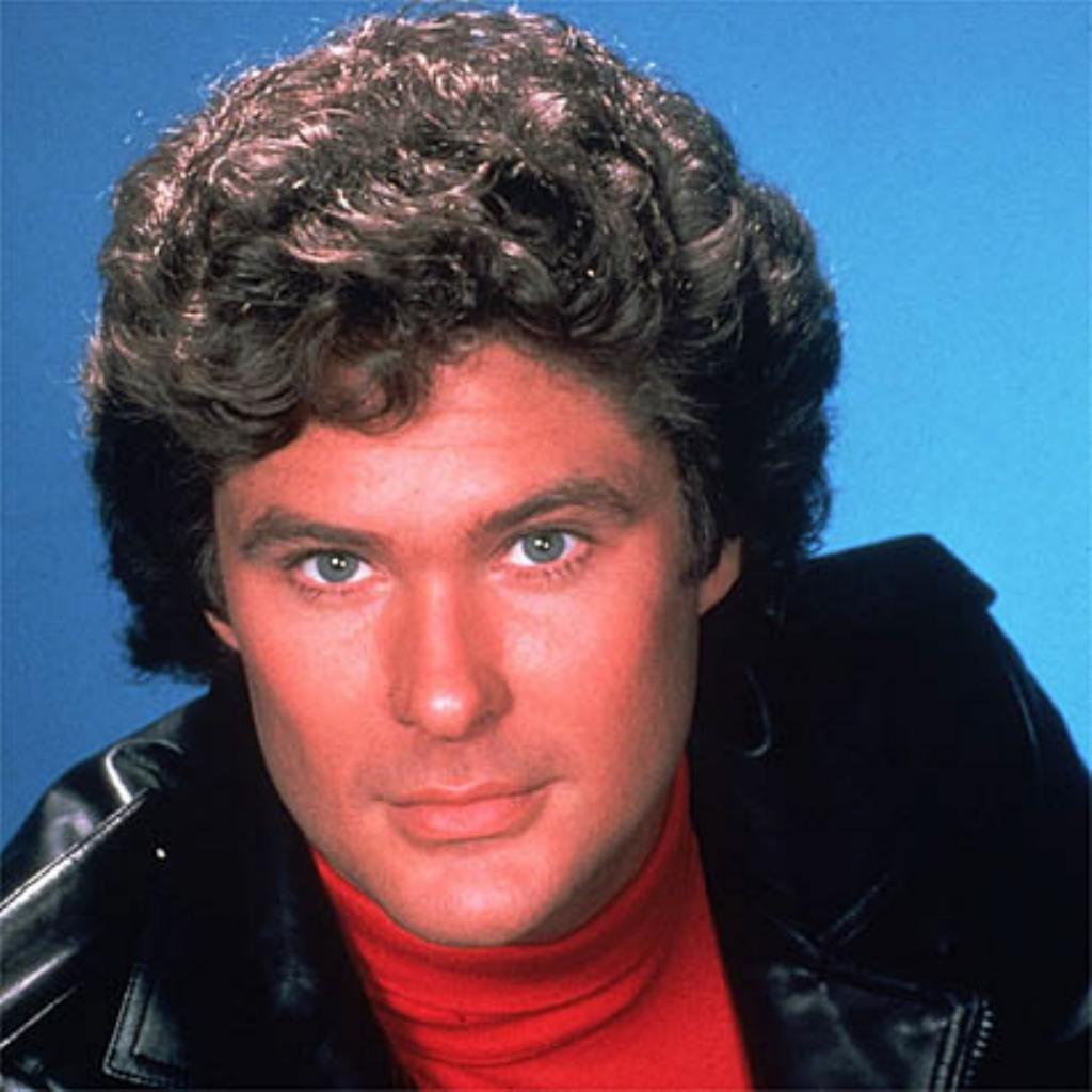 David Hasselhoff [The Hoff]   The Male Celebrity