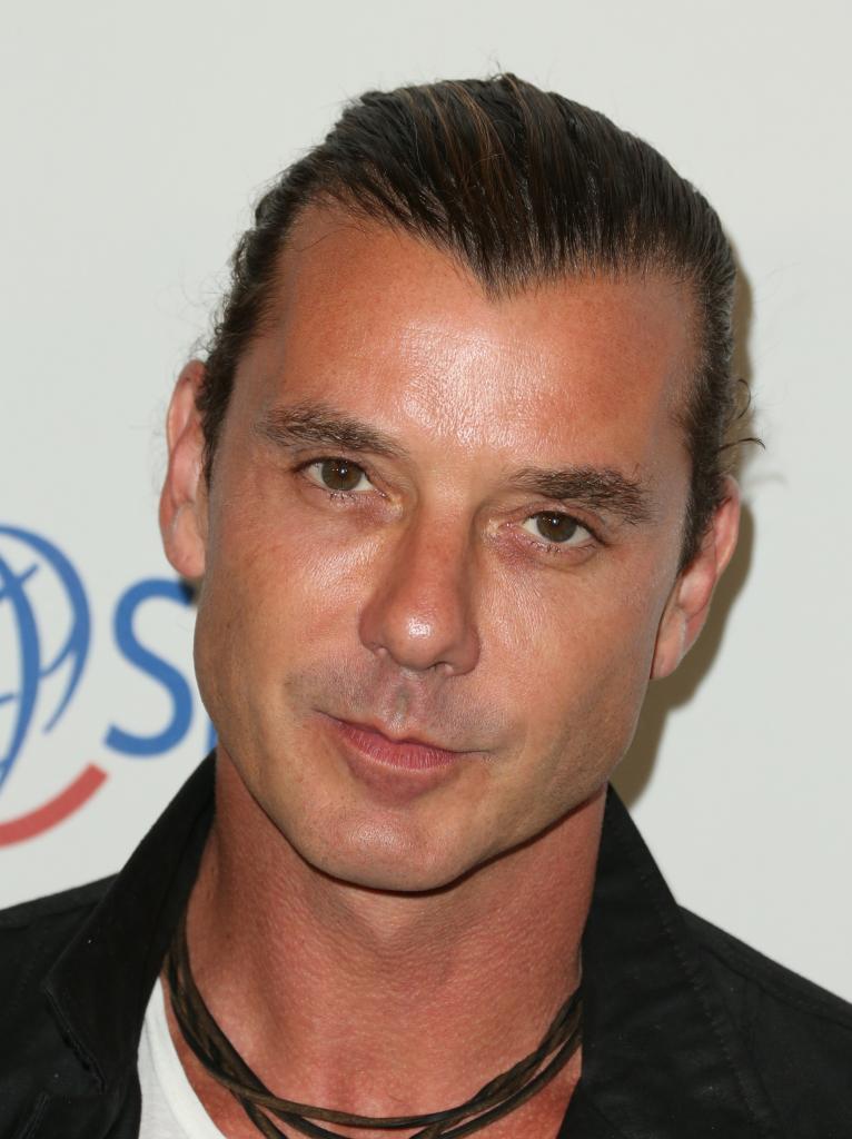 Did Gavin Rossdale Cheat On Gwen Stefani?