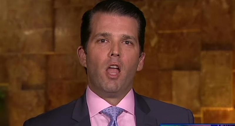 Donald Trump Jr. Throws His Dad's Ridiculous CNN Surrogates Under