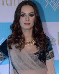 Evelyn Sharma Photos And Pictures