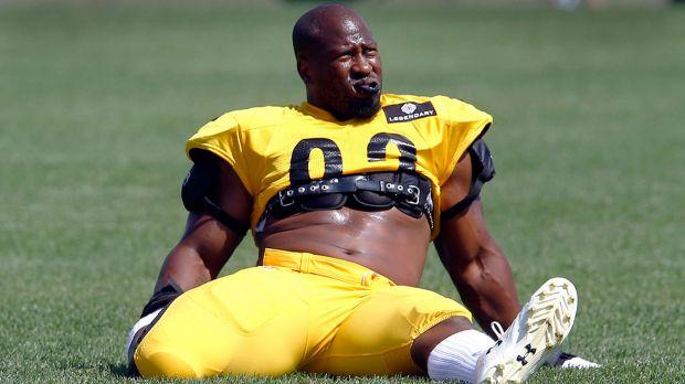 James Harrison (American Football) - Alchetron, The Free Social