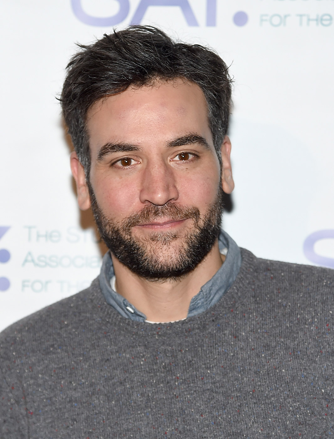 Josh Radnor: 'People Who Stuck With The Series' Understood The How I