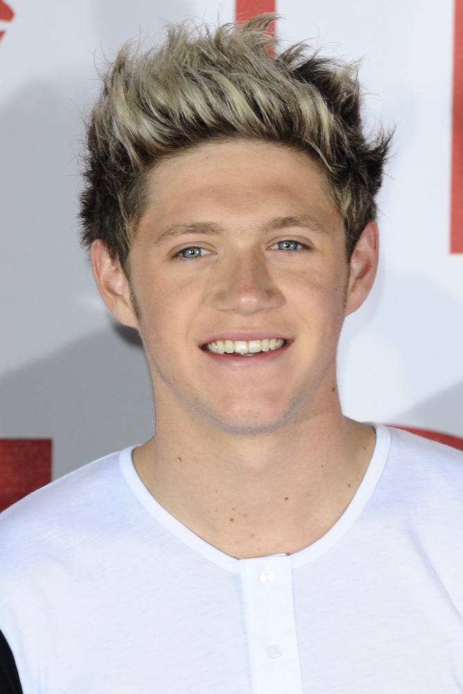 Niall Horan Admits That Harry Styles Will Probably 'Disappear