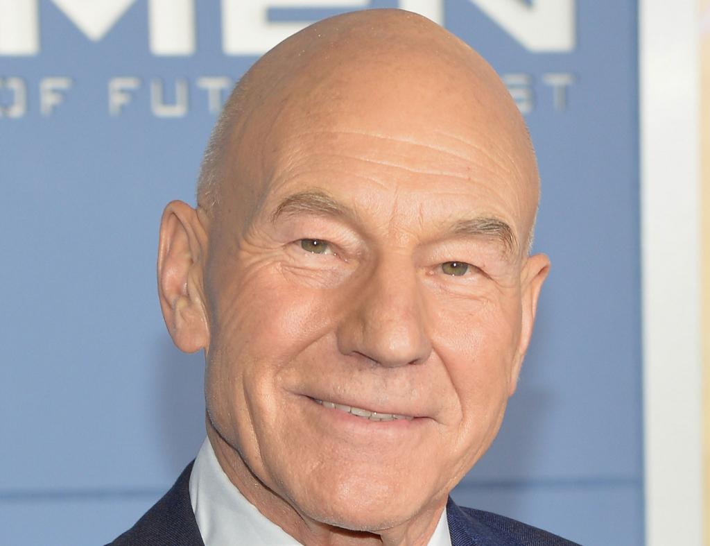 Patrick Stewart Backs Bakery After 'gay Cake' Court Battle   The