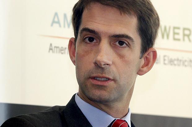 Sarah Palin With A Harvard Degree   : Why New Senator Tom Cotton Is So