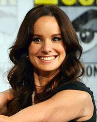 Sarah Wayne Callies - Wikipedia