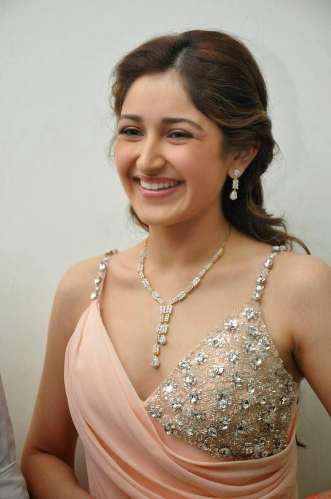 Sayesha Saigal, Bio, Profile, Body Size, Sexy Pics   Hot Starz