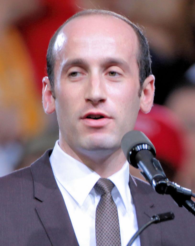 Stephen Miller (political Advisor) - Wikipedia