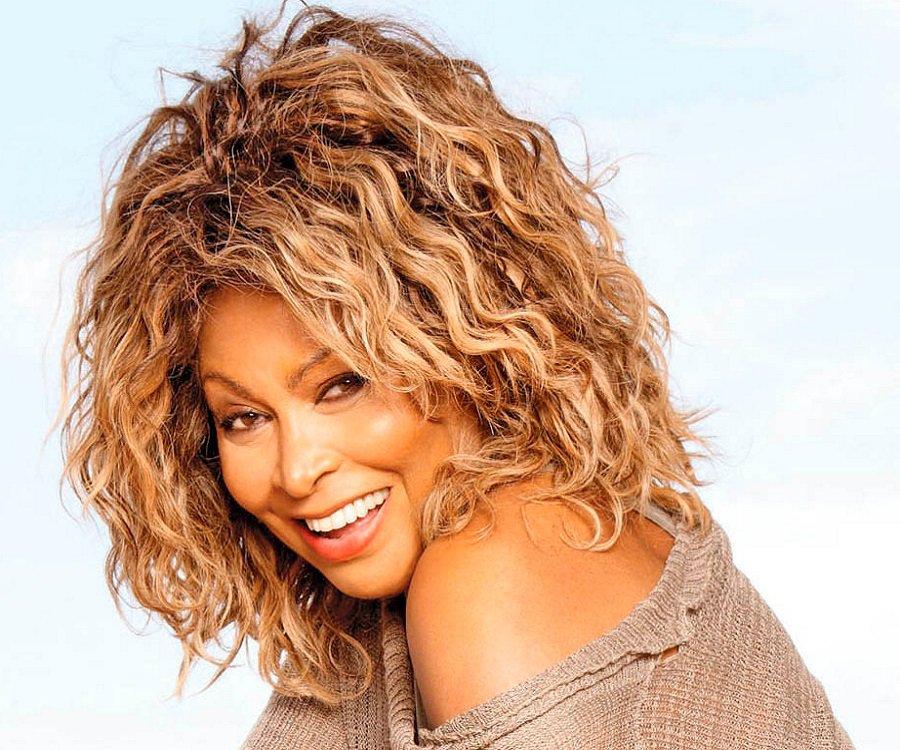 tina turner biography in english