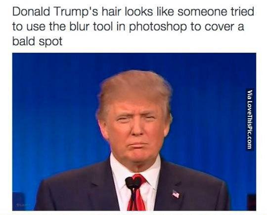 What Donald Trump's Hair Looks Like Pictures, Photos, And Images