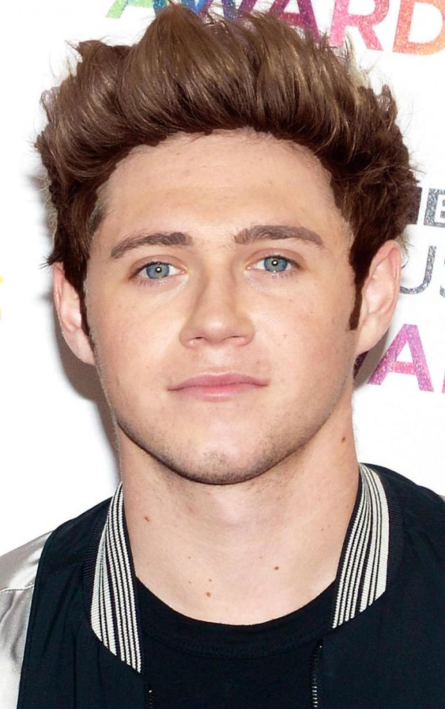 Niall Horan One Direction Wiki Fandom Powered By Wikia