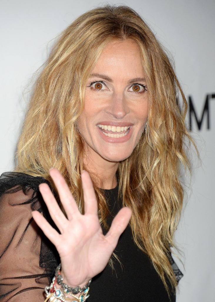 Julia Roberts  amfAR Gala 2017 in Los Angeles  CelebMafia