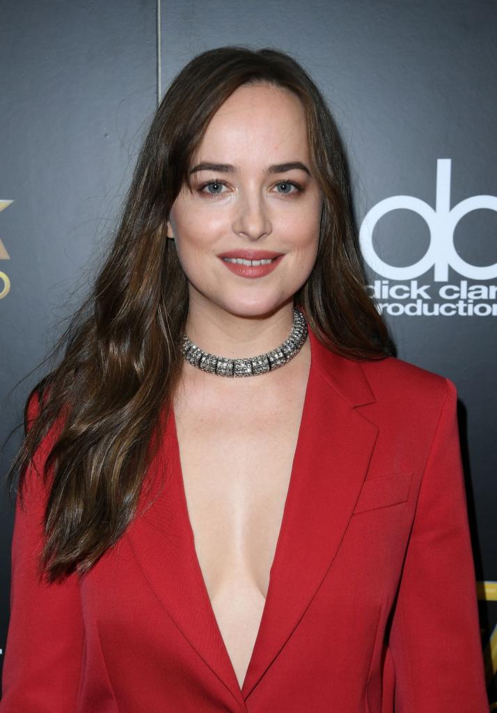 Dakota Johnson  Hollywood Film Awards 2017 in Los Angeles  CelebMafia