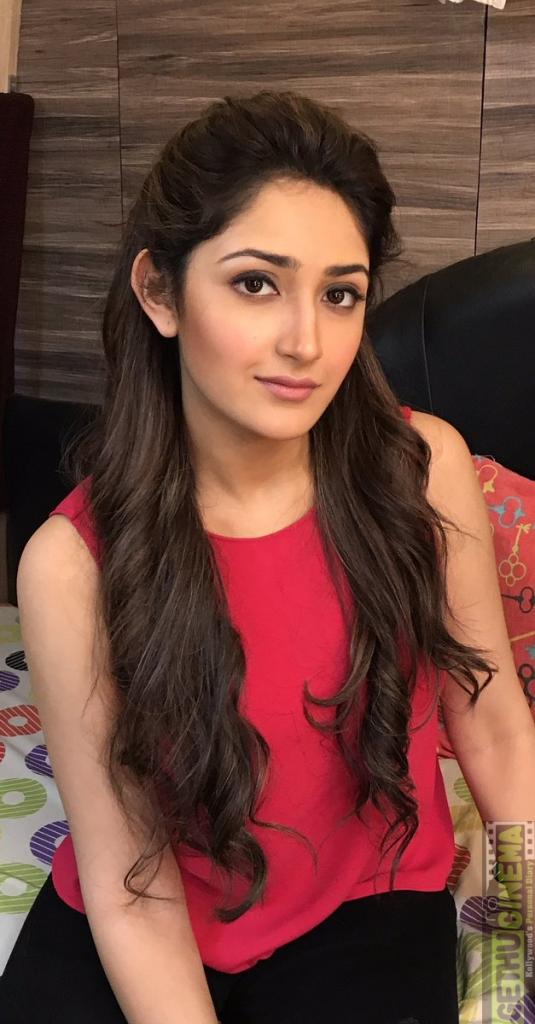 Actress Sayesha Saigal 2017 Cute & HD Photos - Gethu Cinema