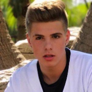 Cole Galotti Bio Facts Family Famous Birthdays