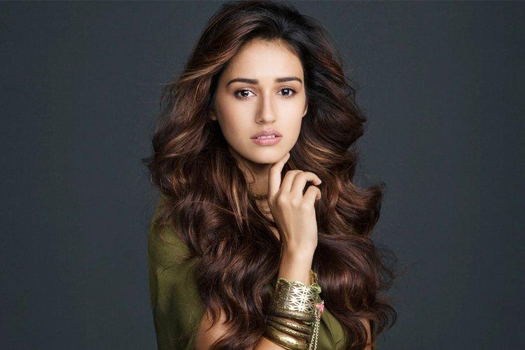 Disha Patani Height Age Education Model Boyfriend And Biography