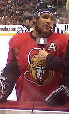 Mike Fisher ice Hockey Wikipedia