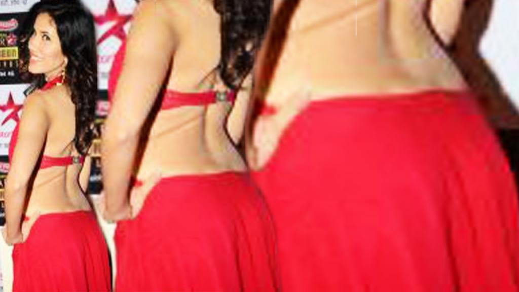 Pyaar Ka Punchnama 2 Hot Actress Sonnalli Seygall Exposes Her Back